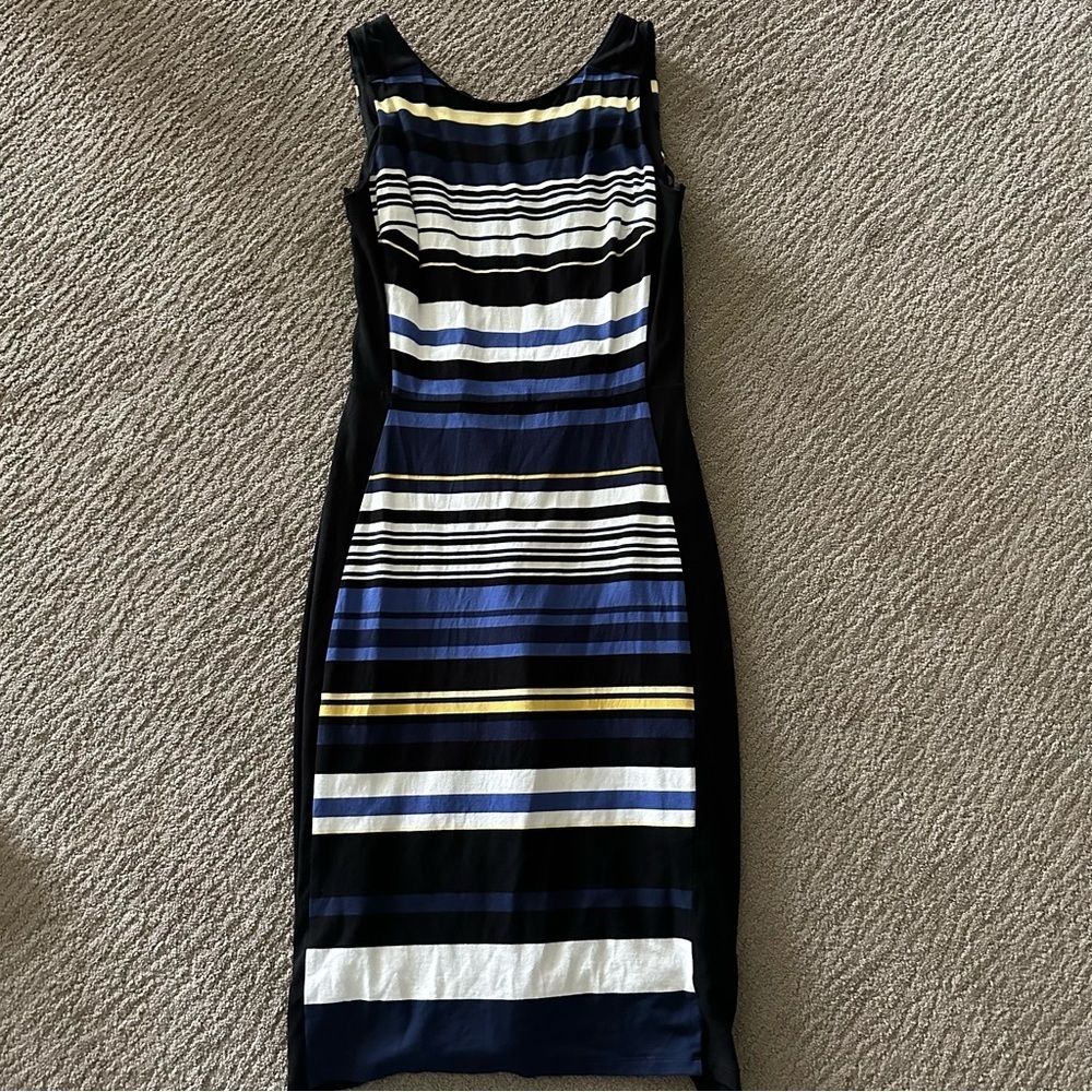 WHBM Striped Dress